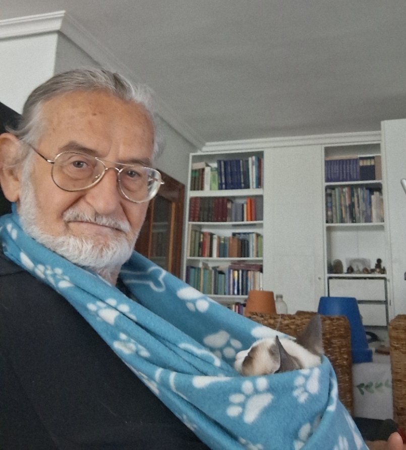 Kater unter einer Decke – Echo vom 28. November 2025