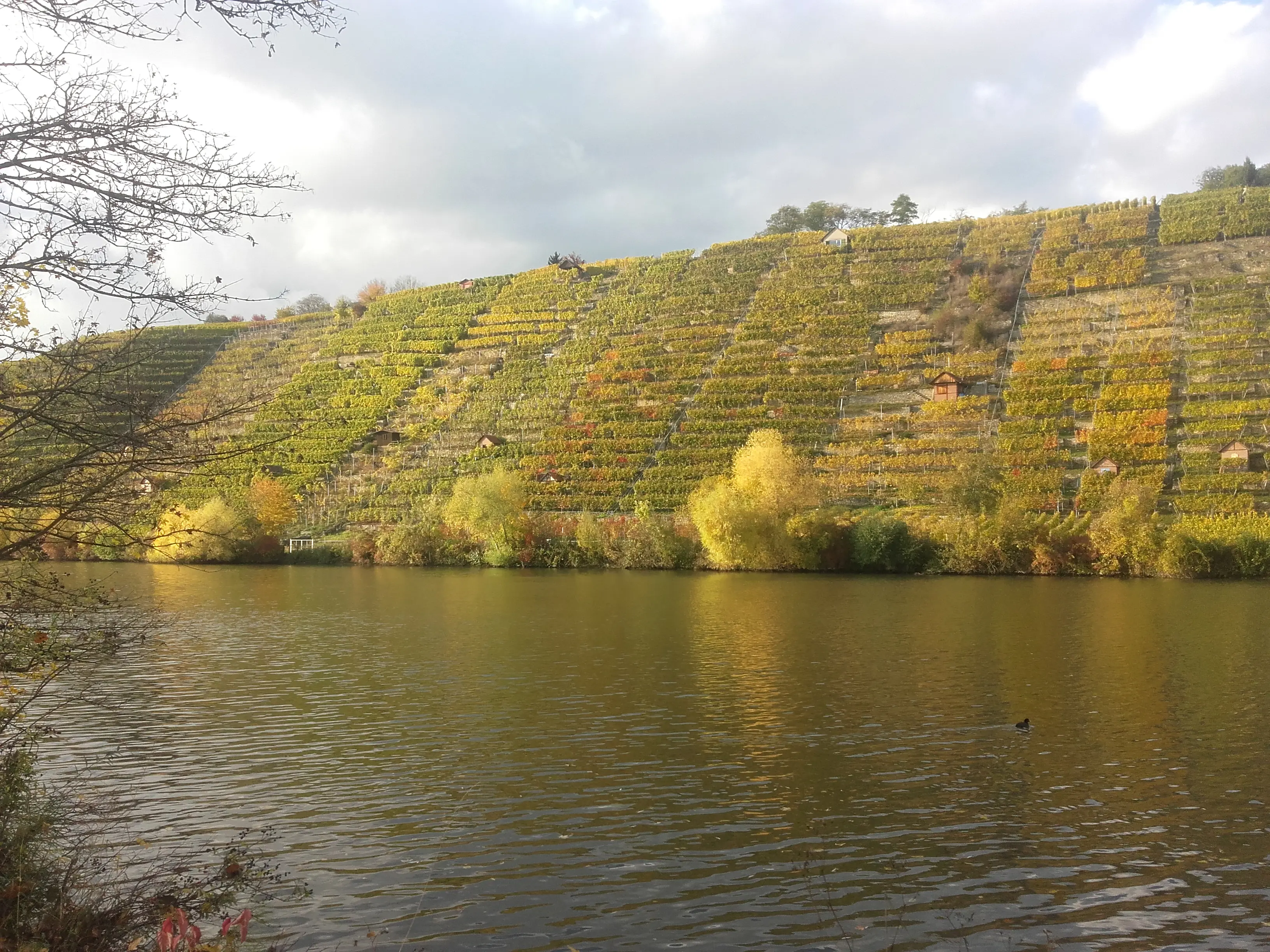 &Fotowelt - Landschaft