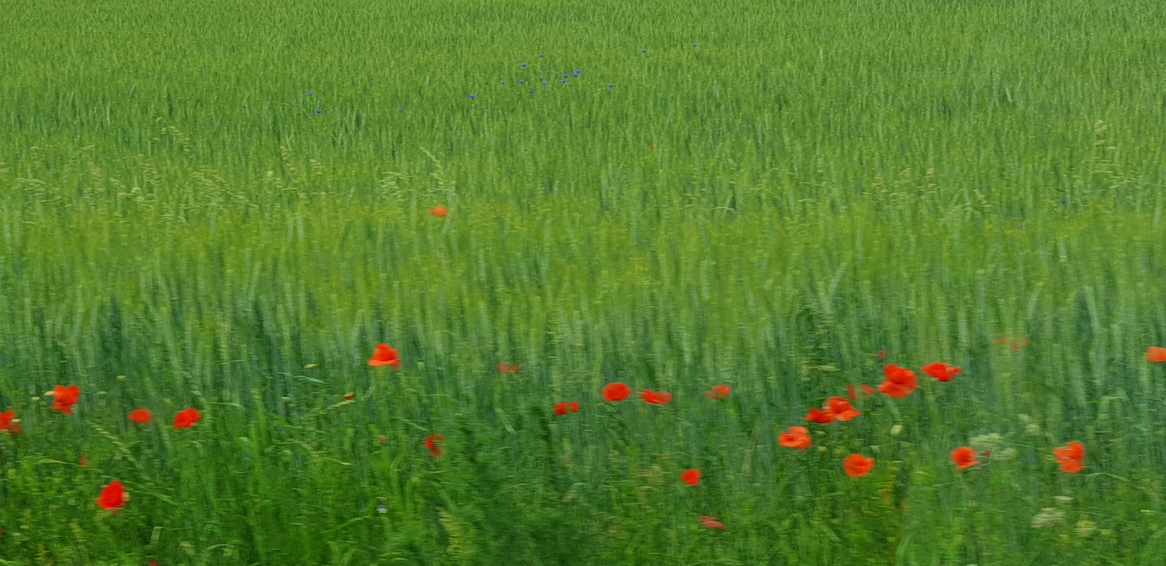 &Fotowelt - Landschaft