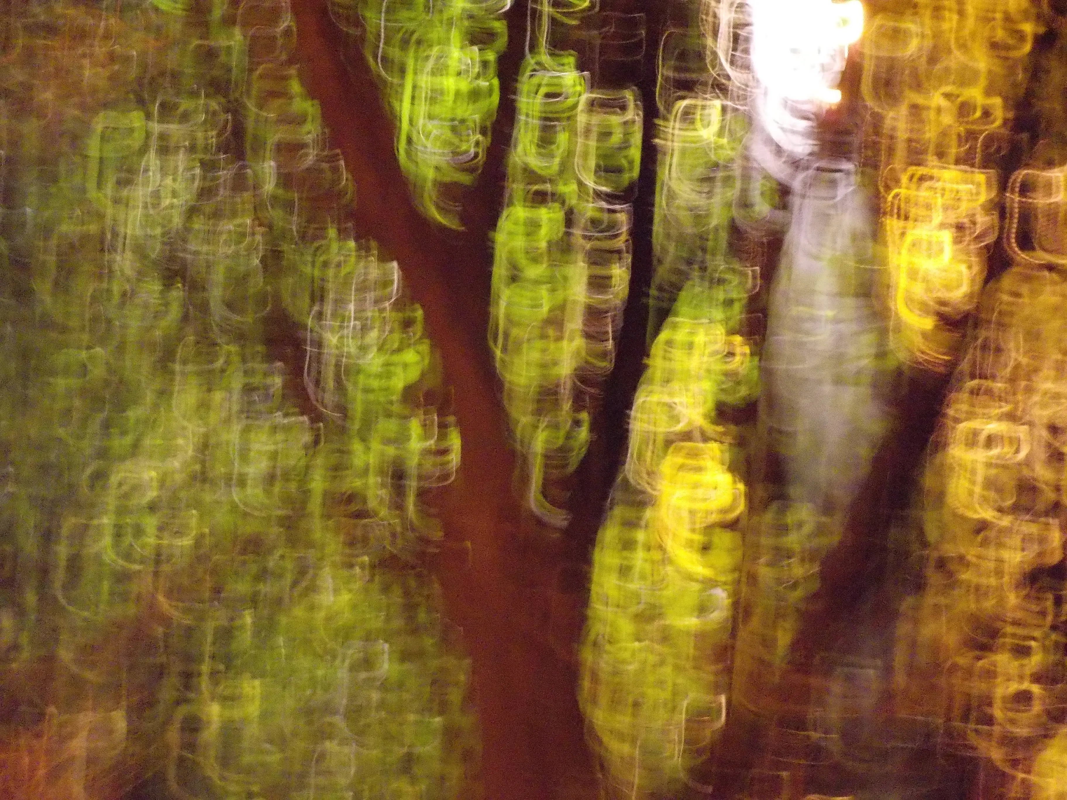 &Fotowelt - pflanzen\raritaeten