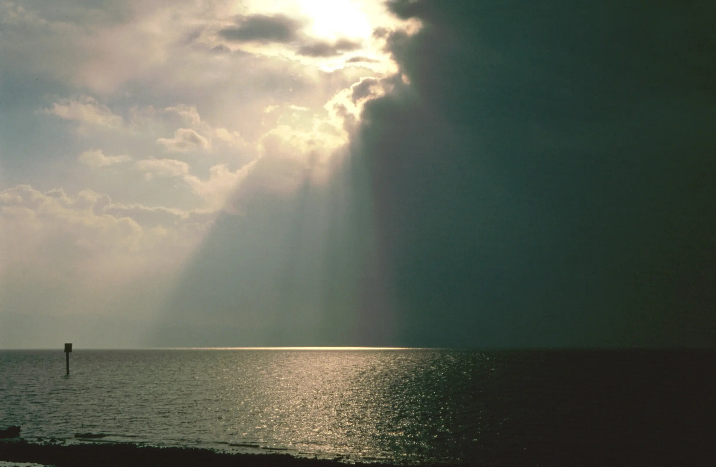 &Fotowelt - pflanzen\raritaeten