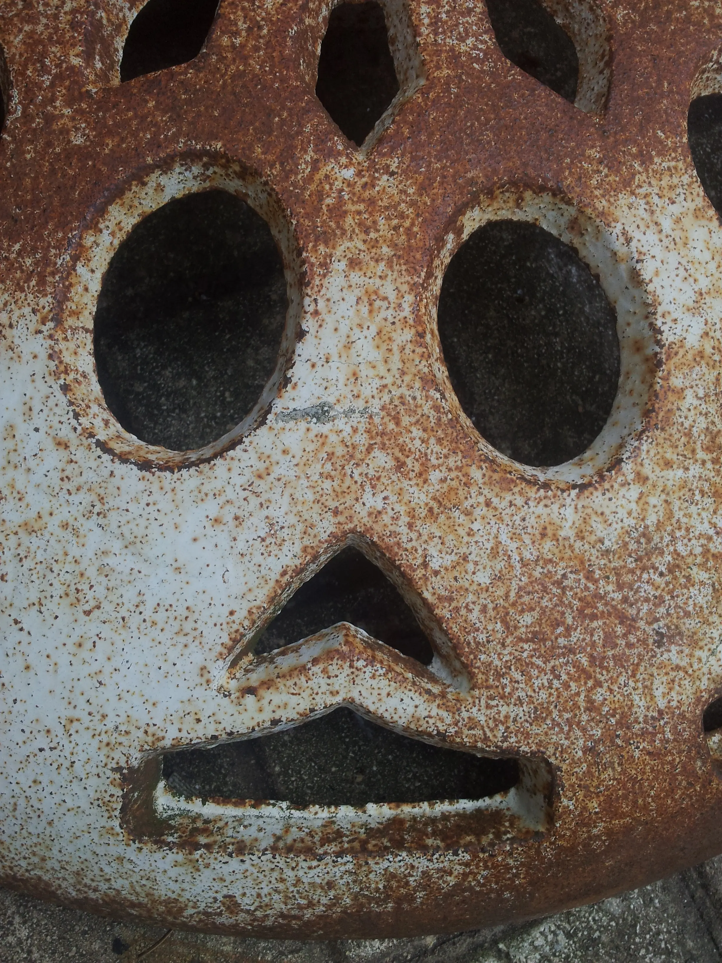 &Fotowelt - pflanzen\raritaeten