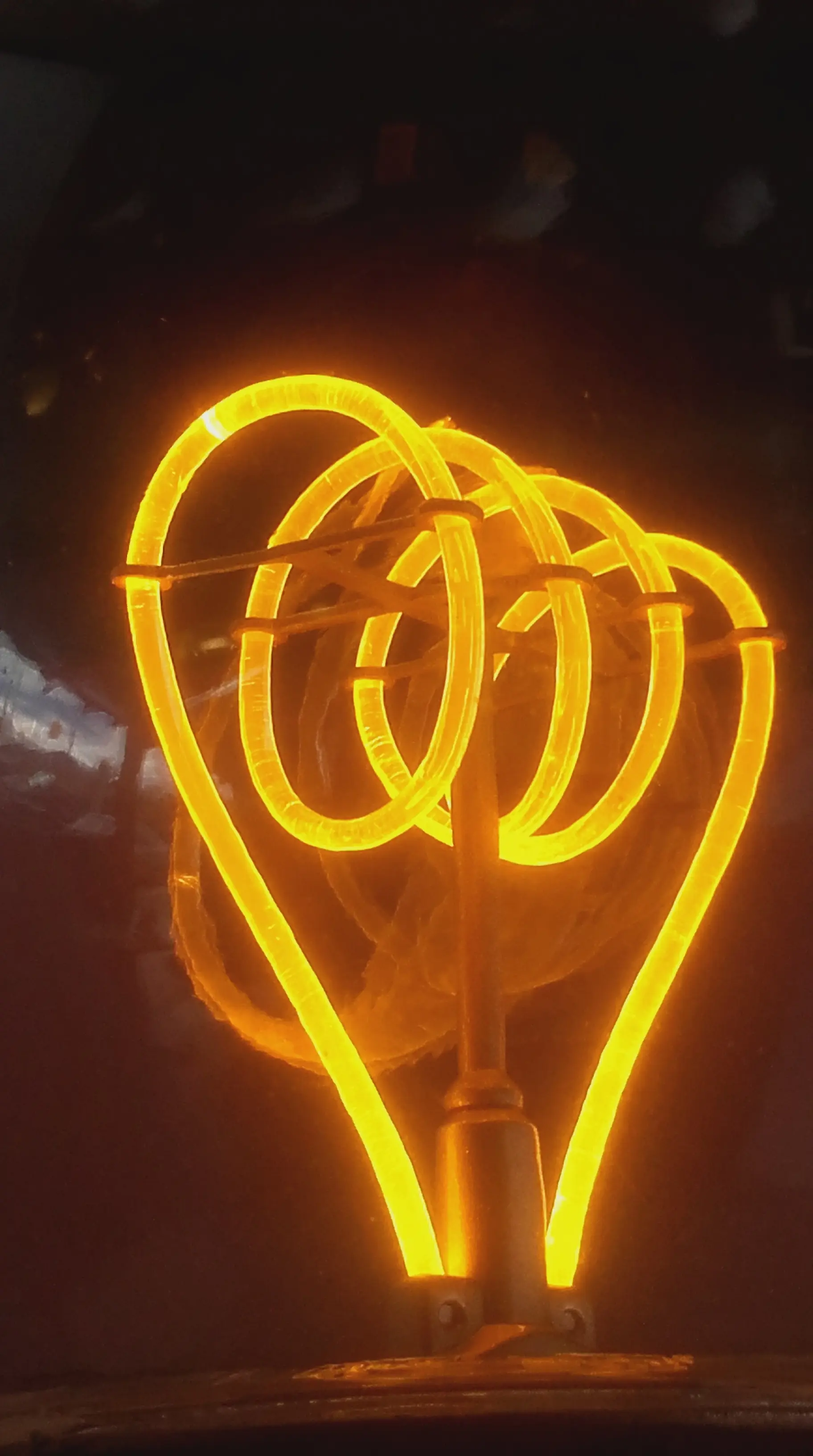 &Fotowelt - pflanzen\raritaeten