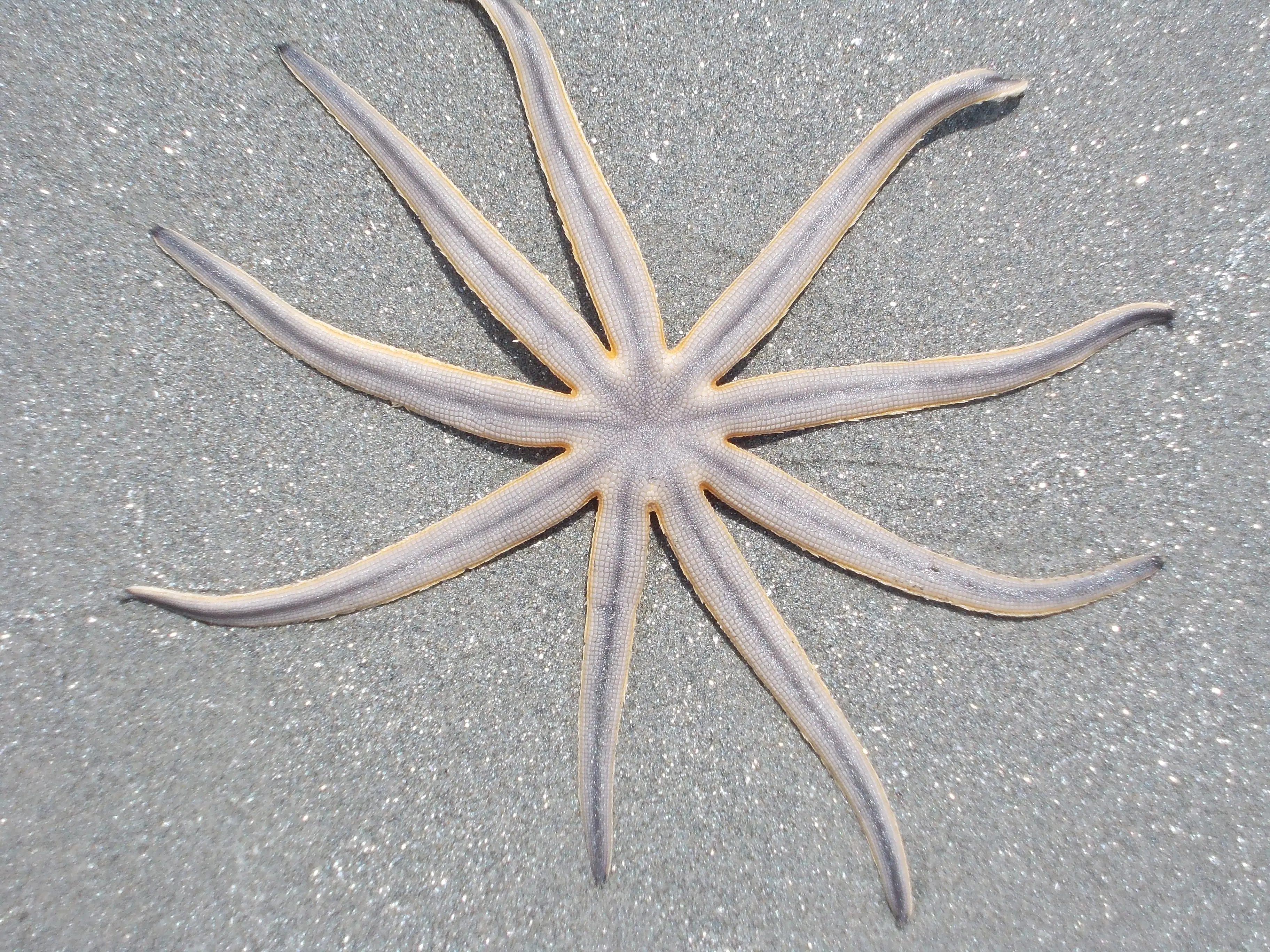 &Fotowelt - tiere\andere