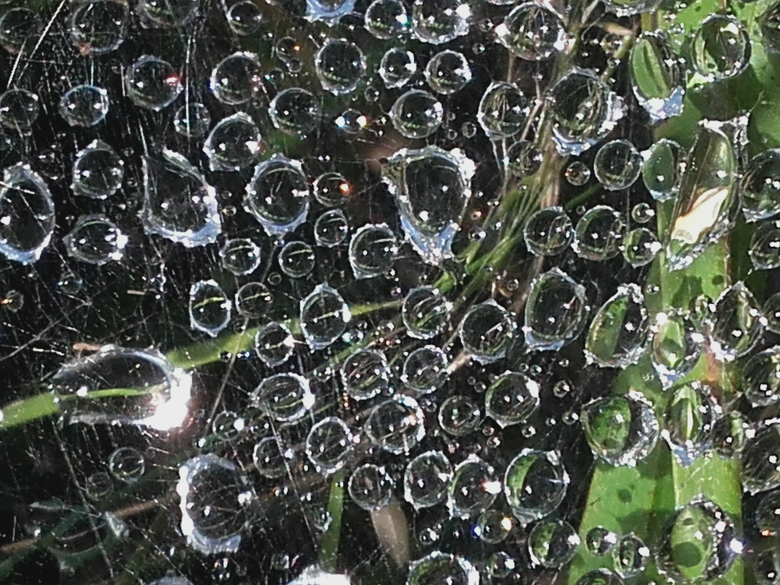 &Fotowelt - Wasser
