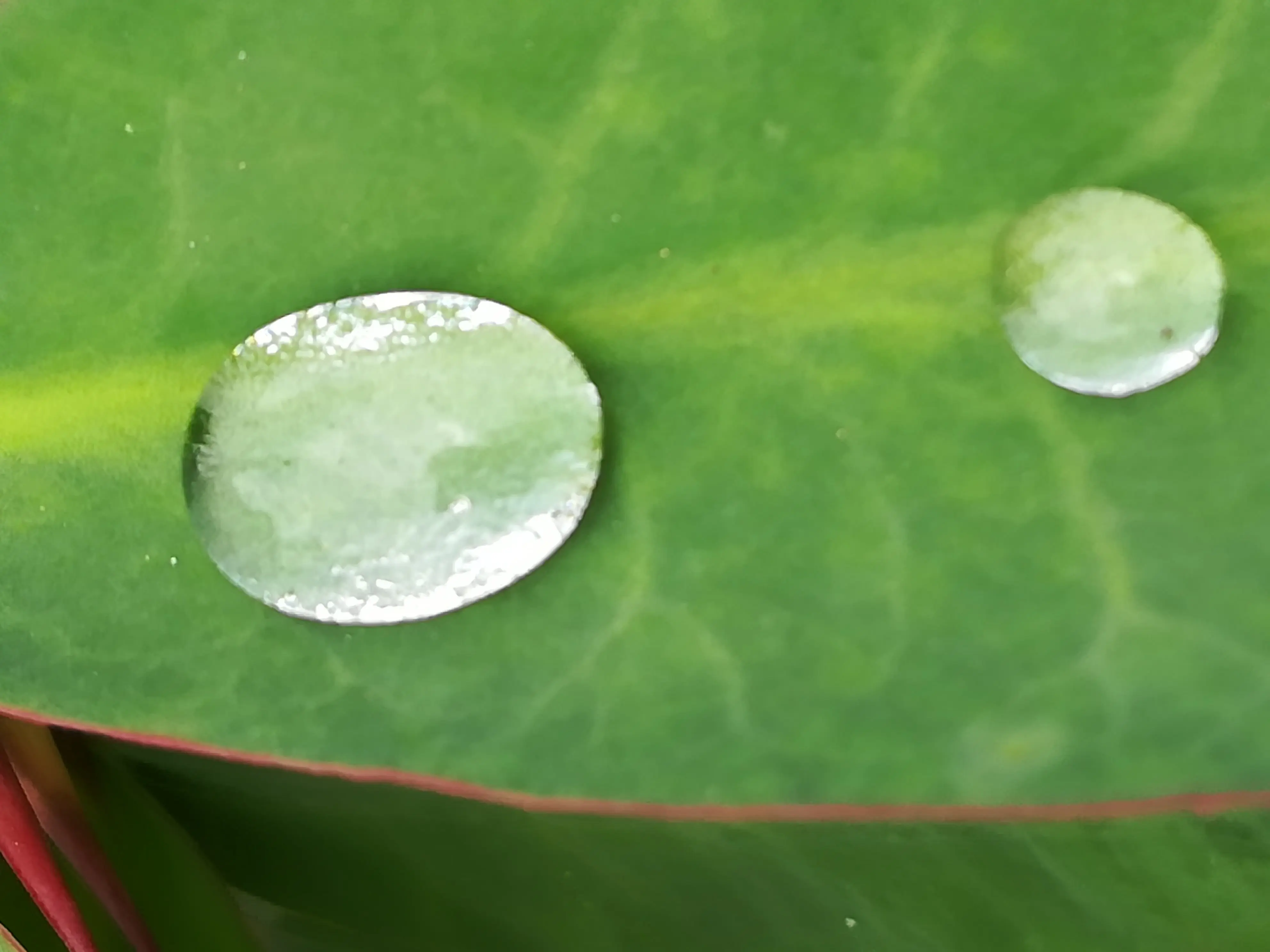 &Fotowelt - Wasser