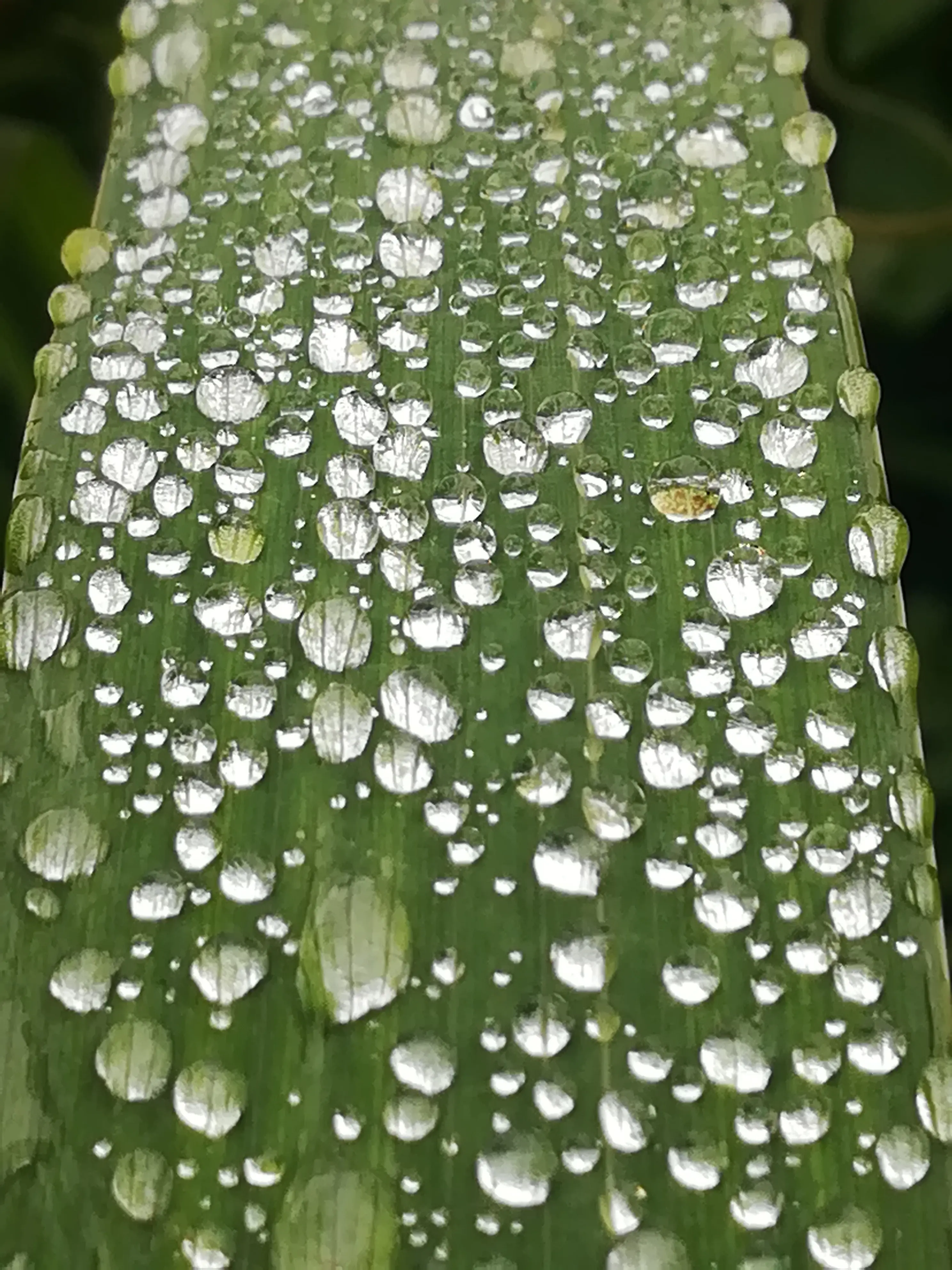 &Fotowelt - Wasser