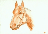 Aquarelle